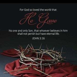 Meet your Posher, Audrey